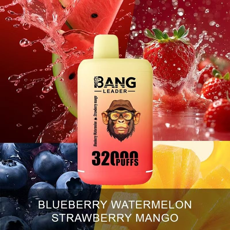 Bang Leader 32000 Puffs Vape Pen Disposable Vape 56ml E-Liquid Dual Tank Wholesale Electric Cigarette Puff  vape