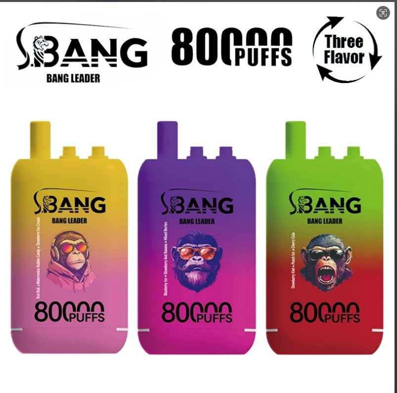Hot Sale Triple Mode Vape Custom Branding Support 3in1 bangleader 80K