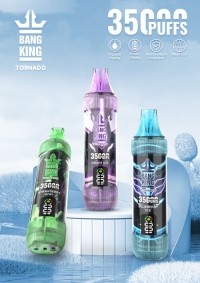 China Factory Price vape  Menthol & Fruit Flavored Disposable E-Cigarette 35K puffs OEM/ODM Manufacturer supplier vaper