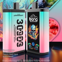 Wholesale disposable electronic cigarettes 30000 puffs dual flavor vape 30 ml e-liquid 30K  Pro vaper