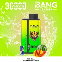 Double flavor disposable vape 30000 puffs cheap vapes ecigs -2 in 1 taste vaper