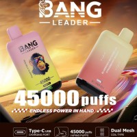 Disposable vape dual taste 2 in 1 vaper bangleader 45000 puffs wholesale vape pen