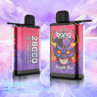 Wholesale disposable vape BANG28000 puffs ice control hot selling electronic cigarette