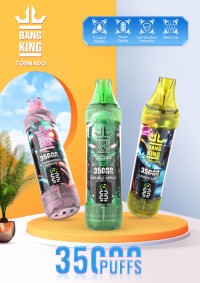 China Factory Price vape  Menthol & Fruit Flavored Disposable E-Cigarette 35K puffs OEM/ODM Manufacturer supplier vaper