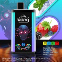 Wholesale disposable electronic cigarettes 30000 puffs dual flavor vape 30 ml e-liquid 30K  Pro vaper