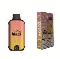 Bang Vape 20000 Puffs LED Display Digital Box Vaping Mod Disposable Vape Pen Vs Randm Vape 20K Puff E-Cig