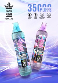 China Factory Price vape  Menthol & Fruit Flavored Disposable E-Cigarette 35K puffs OEM/ODM Manufacturer supplier vaper