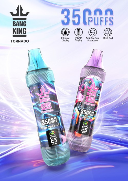 China Factory Price vape  Menthol & Fruit Flavored Disposable E-Cigarette 35K puffs OEM/ODM Manufacturer supplier vaper