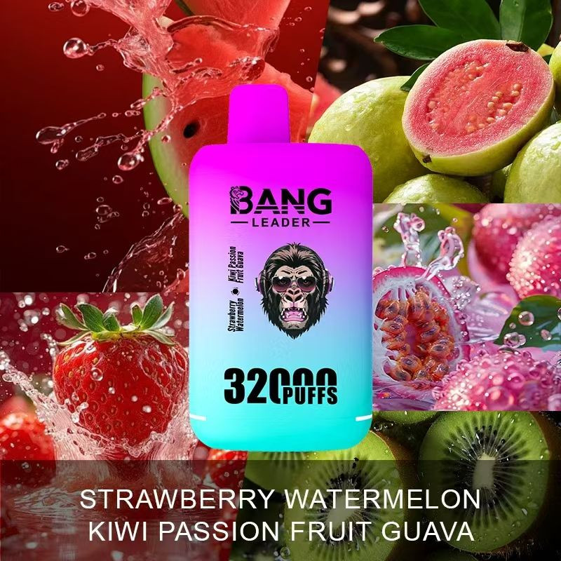 Bang Leader 32000 Puffs Vape Pen Disposable Vape 56ml E-Liquid Dual Tank Wholesale Electric Cigarette Puff  vape