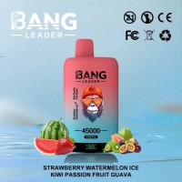Disposable vape dual taste 2 in 1 vaper bangleader 45000 puffs wholesale vape pen