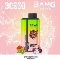 Double flavor disposable vape 30000 puffs cheap vapes ecigs -2 in 1 taste vaper
