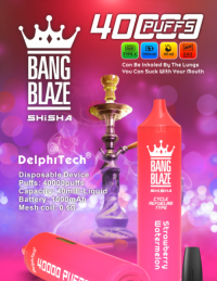2025hottest selling multi-flavor vaper cigarettes 40K disposable e-cigarettes wholesale vapeBangbalze shisha 40k