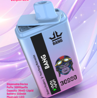 Factory Price Disposable Vape 30000 Puffs, Custom Branding bangKing30K Dual Flavor Vaper with Display
