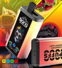 Wholesale disposable electronic cigarettes 30000 puffs dual flavor vape 30 ml e-liquid 30K  Pro vaper