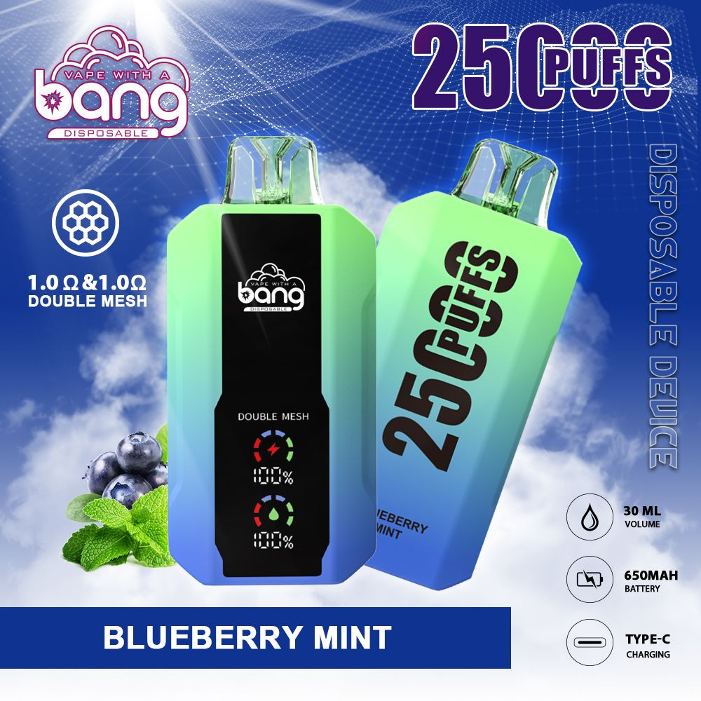 Hot selling Bang 25000puffs with large screen 30ml e-liquid wholesale disposable vape