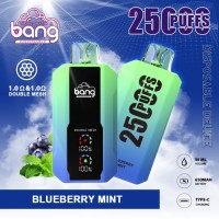Hot selling Bang 25000puffs with large screen 30ml e-liquid wholesale disposable vape
