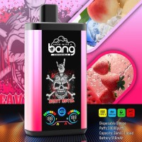 Wholesale disposable electronic cigarettes 30000 puffs dual flavor vape 30 ml e-liquid 30K  Pro vaper
