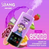 Disposable Vape Pen 85000 Puff 3-in-1 Vaper Bangleader Vape Wholesale OEM E-Cigarette
