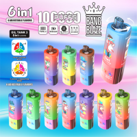 2025 Hot sale disposable vape 6-in-1 flavors 100k puff OEM vaper Electronic Cigarette device Factory