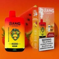 Factory Wholesale Vaper Price 30K 45K Puff dual flavor Disposable Vape with Battery Charge Display