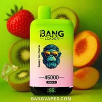 Factory Wholesale Vaper Price 30K 45K Puff dual flavor Disposable Vape with Battery Charge Display