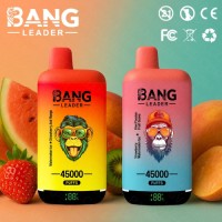 Disposable vape dual taste 2 in 1 vaper bangleader 45000 puffs wholesale vape pen