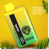 Factory Price Disposable Vape 30000 Puffs, Custom Branding bangKing30K Dual Flavor Vaper with Display