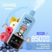 Disposable Vape Pen 85000 Puff 3-in-1 Vaper Bangleader Vape Wholesale OEM E-Cigarette