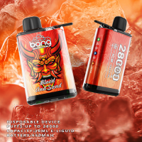 Wholesale disposable vape BANG28000 puffs ice control hot selling electronic cigarette