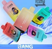Factory Wholesale Vaper Price 30K 45K Puff dual flavor Disposable Vape with Battery Charge Display