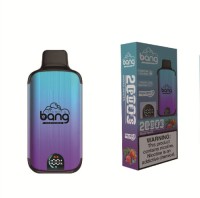 Bang Vape 20000 Puffs LED Display Digital Box Vaping Mod Disposable Vape Pen Vs Randm Vape 20K Puff E-Cig