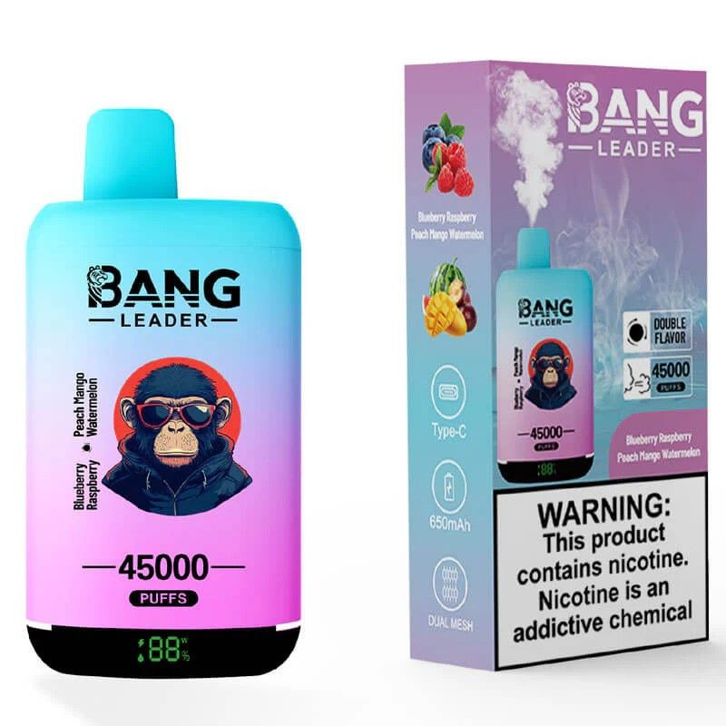 Disposable vape dual taste 2 in 1 vaper bangleader 45000 puffs wholesale vape pen