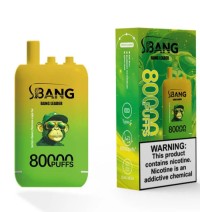 Hot Sale Triple Mode Vape Custom Branding Support 3in1 bangleader 80K