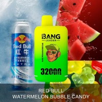 Disposable Electronic Cigarette Device 32K Puff Vaper  Pen OEM  Bangleader 32000 Puff Dual Flavors
