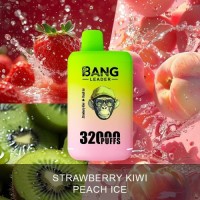 Bang Leader 32000 Puffs Vape Pen Disposable Vape 56ml E-Liquid Dual Tank Wholesale Electric Cigarette Puff  vape