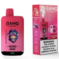 Disposable vape dual taste 2 in 1 vaper bangleader 45000 puffs wholesale vape pen