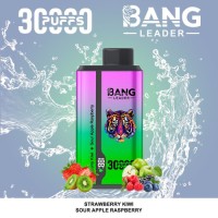 Double flavor disposable vape 30000 puffs cheap vapes ecigs -2 in 1 taste vaper