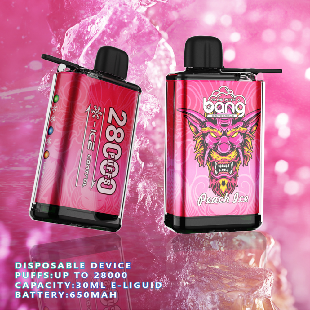 Wholesale disposable vape BANG28000 puffs ice control hot selling electronic cigarette