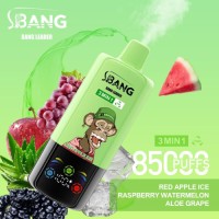 Disposable Vape Pen 85000 Puff 3-in-1 Vaper Bangleader Vape Wholesale OEM E-Cigarette
