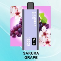 elfworld i15 pro disposable vape pen 12000 puff Airflow adjustable with digital display vaper  12k puffs