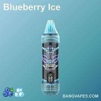 China Factory Price vape  Menthol & Fruit Flavored Disposable E-Cigarette 35K puffs OEM/ODM Manufacturer supplier vaper