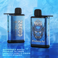 Wholesale disposable vape BANG28000 puffs ice control hot selling electronic cigarette
