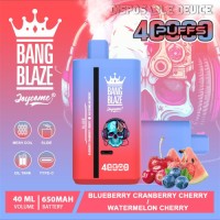 Wholesale disposable vape bangblaze dual flavor 40k puffs vaper e-cigarette with 32 flavors cheap price